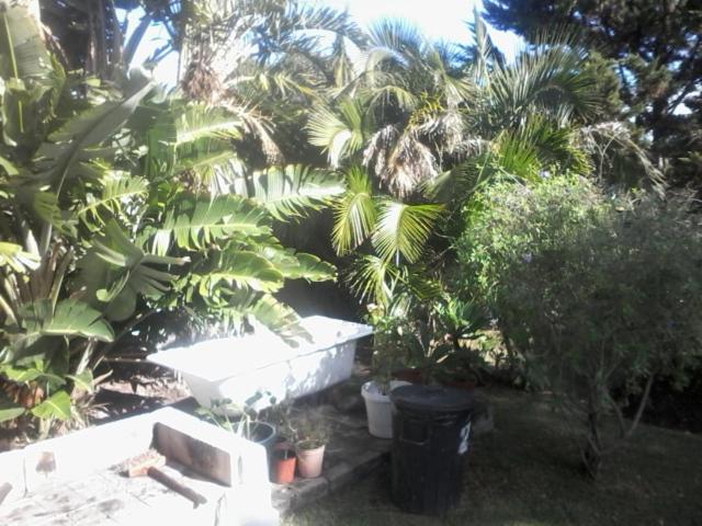 Self Catering Unit 6, Sandbaai เฮอร์มานุส ภายนอก รูปภาพ